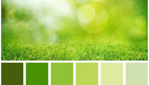 La colorimétrie : révéler l’éclat naturel de chacune, Ajaccio, Fémin'Itude Corse